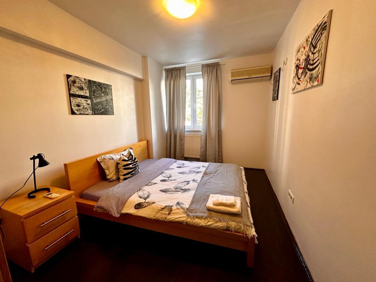 Apartment Amzei *